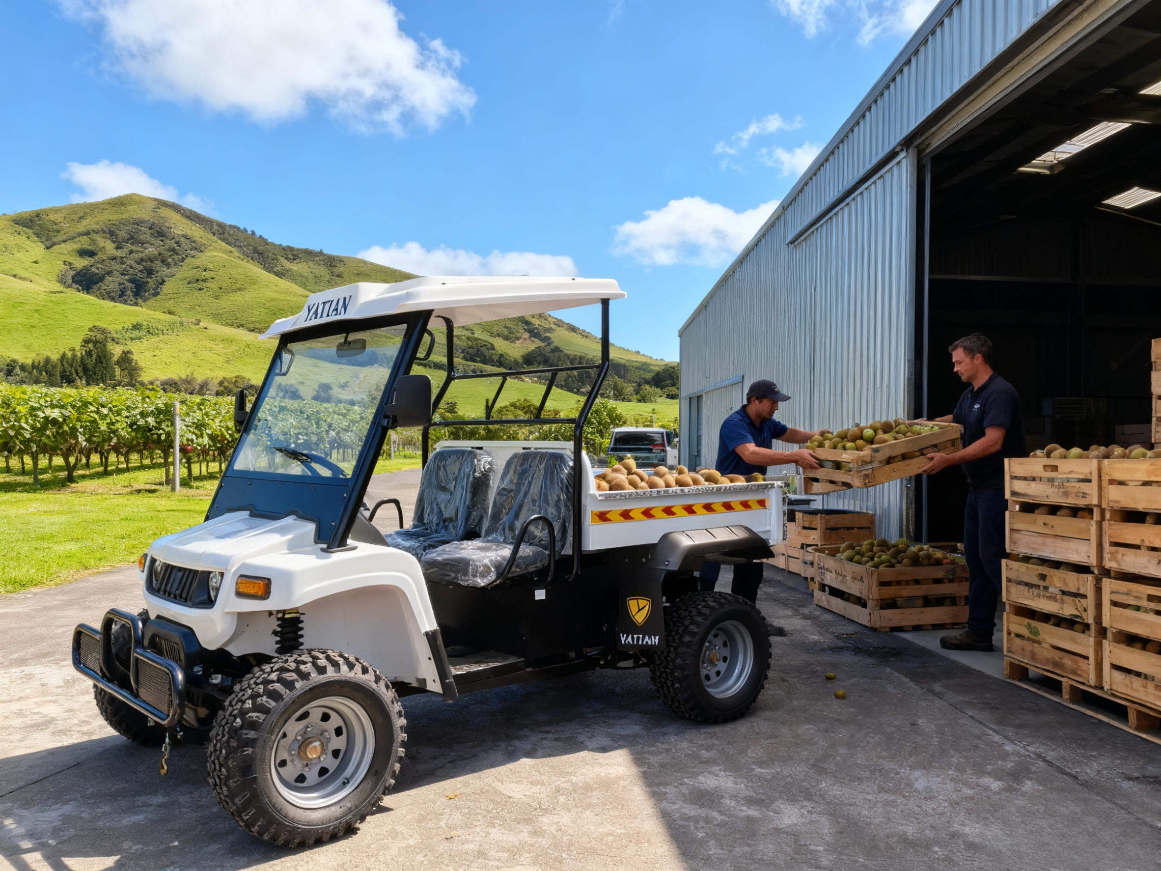 ~!phoenix_varIMG11!~