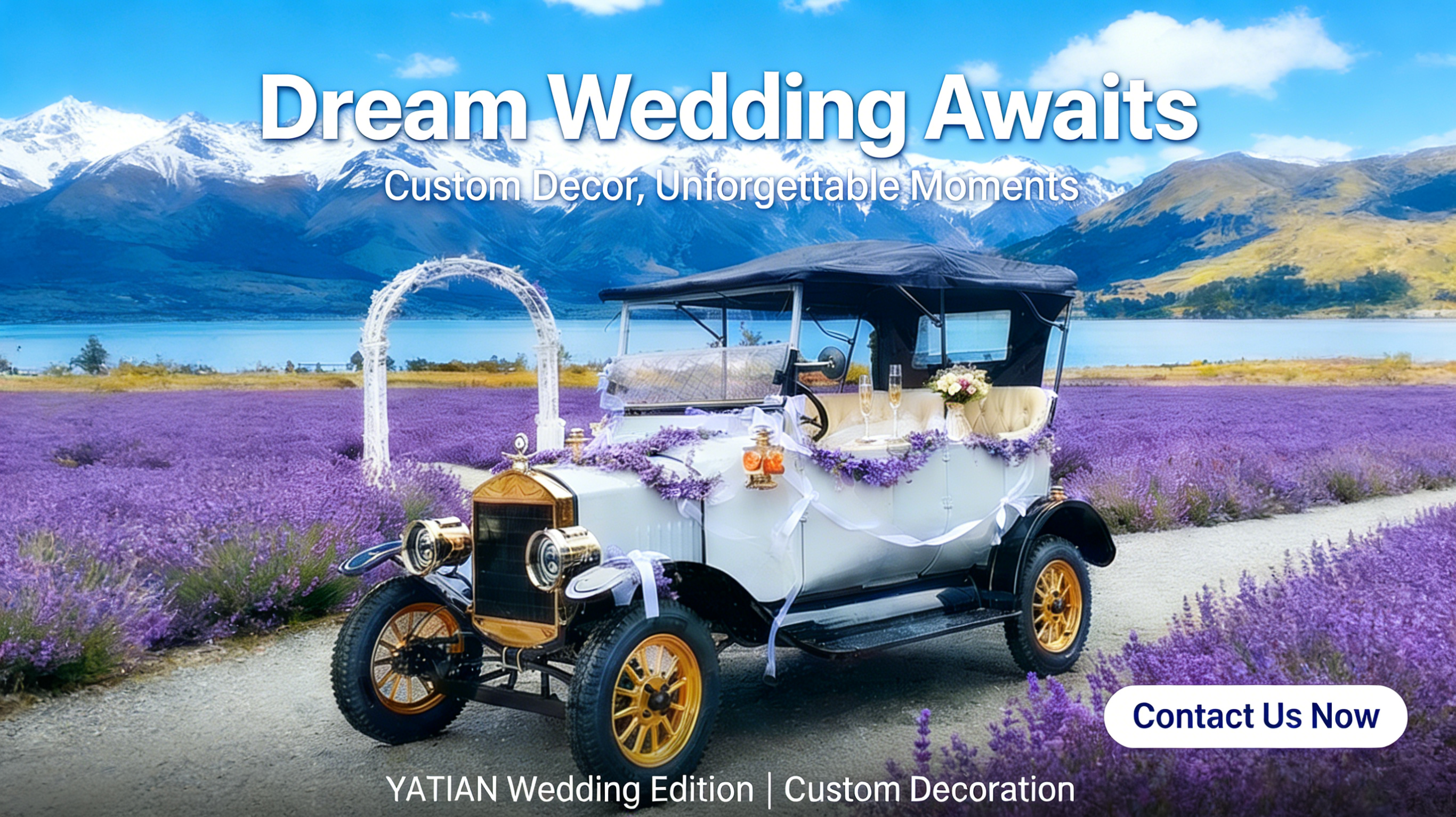 Veh&iacute;culos tur&iacute;sticos cl&aacute;sicos