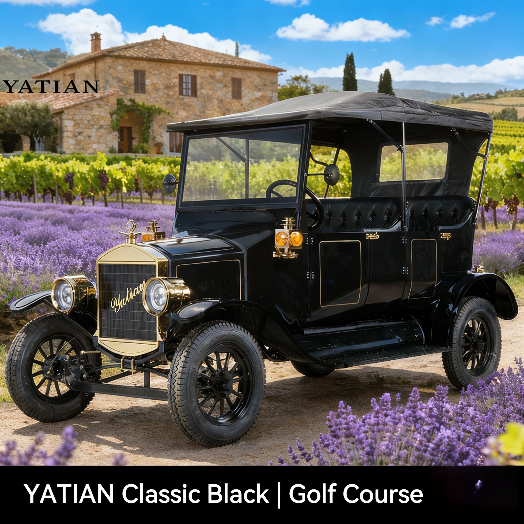 Carro de golf cl&aacute;sico (4)