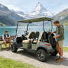 Buggy de caza todoterreno eléctrico de 4 plazas YATIAN GQ04Q
