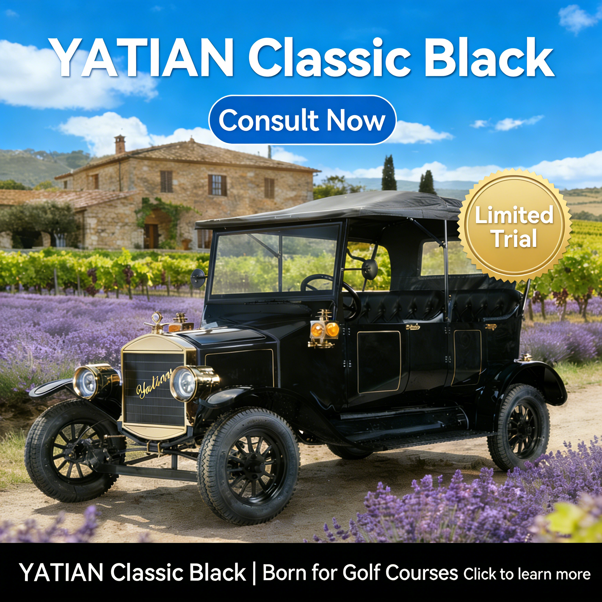 Experiencia de bodega cl&aacute;sica