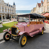 YATIAN LY11N Coche eléctrico vintage rosa y dorado personalizado de 11 asientos: servicio de traslado turístico rentable con múltiples escenas