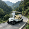 Carro de golf eléctrico de 4 plazas GQ04C