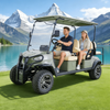 Buggy de caza todoterreno eléctrico de 4 plazas YATIAN GQ04Q