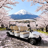 Carro de golf eléctrico de 8 plazas para turismo, vehículo de transporte turístico YATIAN China Fabricantes