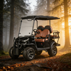 Yatian Electric UTV 4x4: el caballo de batalla todoterreno para caza, agricultura y tareas todoterreno