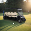 Carro de golf Yatian GQ06C de 6 plazas con motor de alto rendimiento de 48 V y 5 KW y duradero